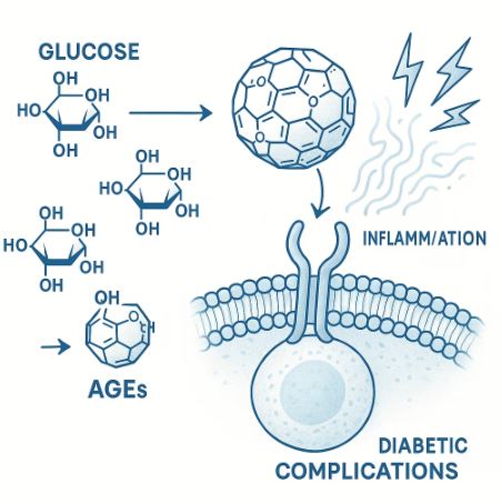 Graphic showing how glycation leads to AGEs and activates the RAGE pathway causing diabetic complications.